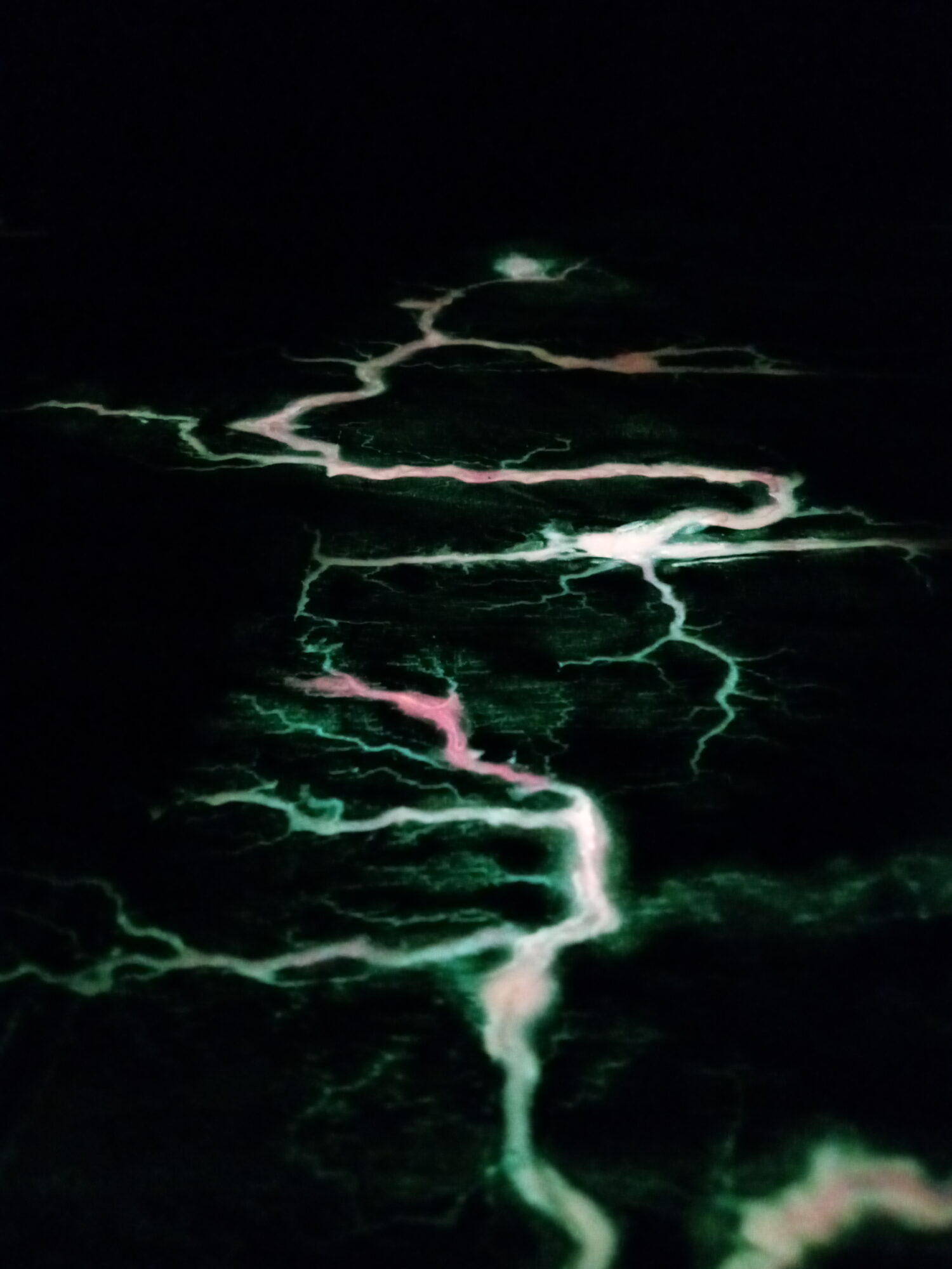 High voltage electricity burning fractal patterns in the dark