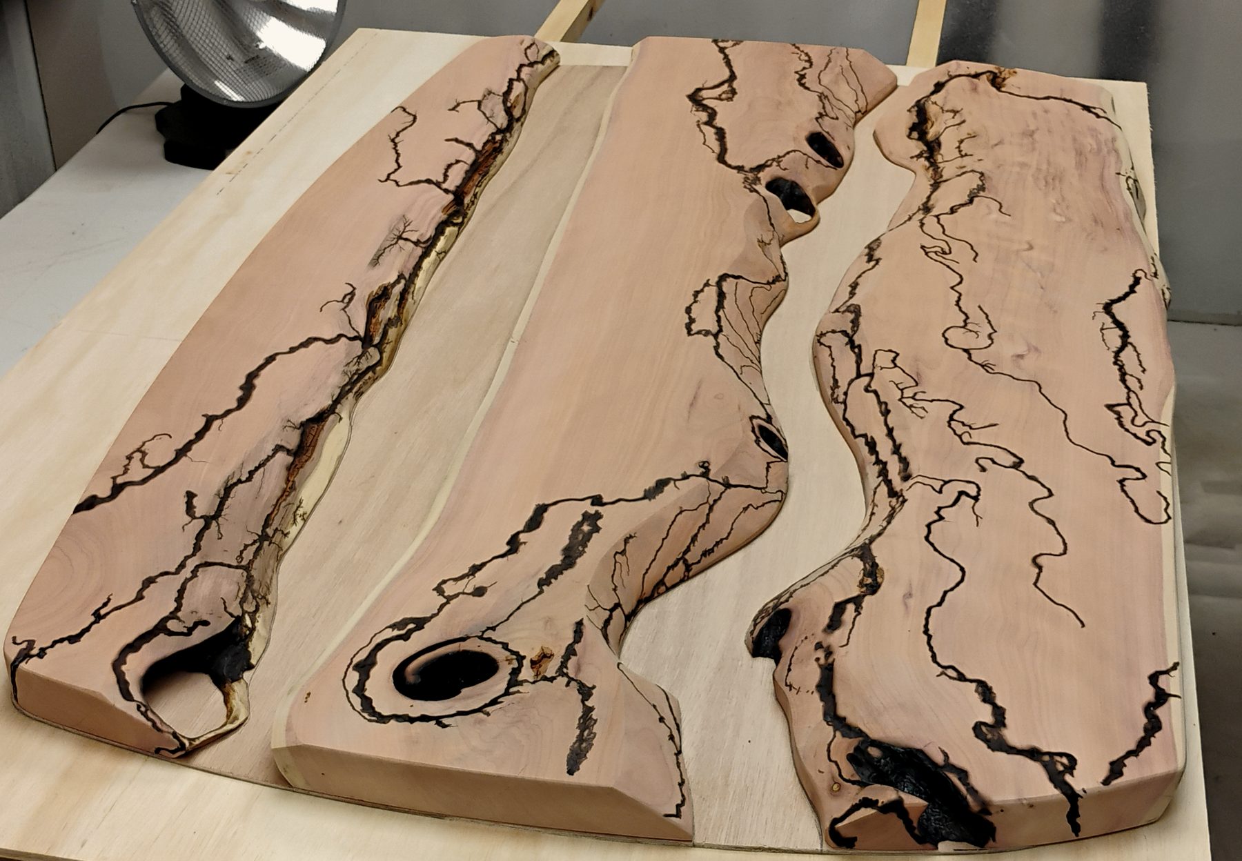 Stage 04: after the Lichtenberg burn